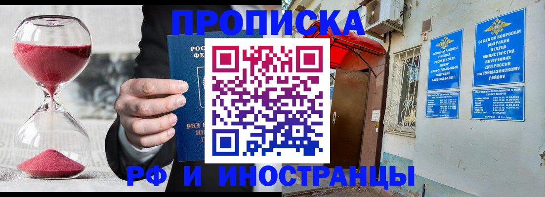 прописка 2025 в Михайлове